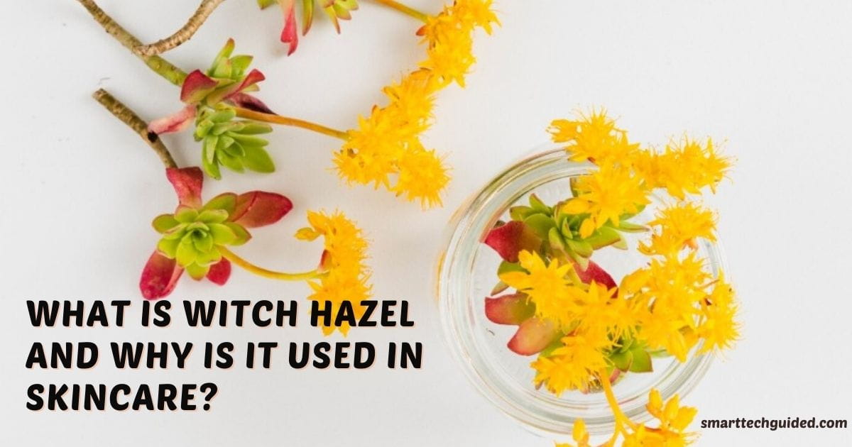 Witch Hazel for Skin 